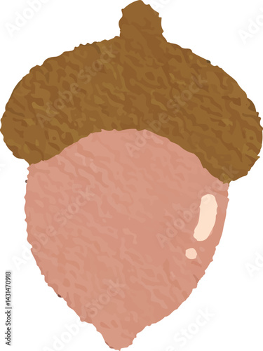 clip art cute watercolor illustration of nut, walnut, acorn autumn for background asset