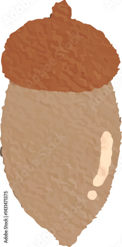 clip art cute watercolor illustration of nut, walnut, acorn autumn for background asset
