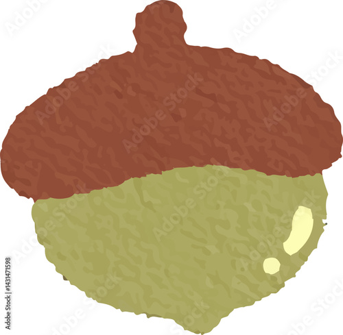 clip art cute watercolor illustration of nut, walnut, acorn autumn for background asset