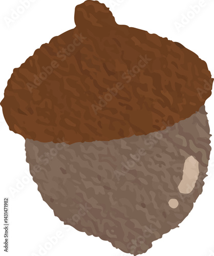 clip art cute watercolor illustration of nut, walnut, acorn autumn for background asset