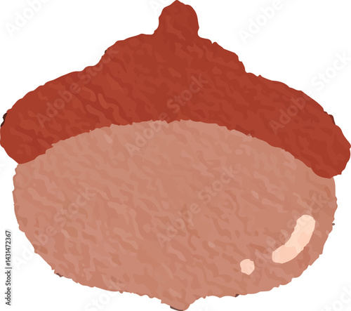 clip art cute watercolor illustration of nut, walnut, acorn autumn for background asset