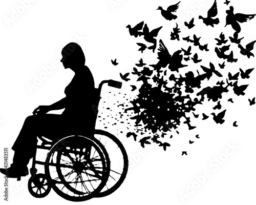 Silhouette of a Person in a Wheelchair with Birds Taking Flight