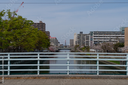 Schilderij op canvas 日本、大阪、城市、城東区、橋、春、青空、桜、建物、木、綠色、昭和、川