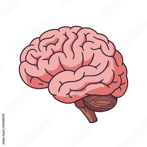  Vector illustration of a brain in bright colors, representing intelligence and creativity, no background