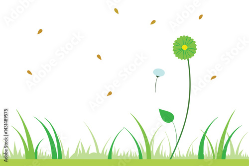 dandelion-field-with-seeds-floating-in-the-air-