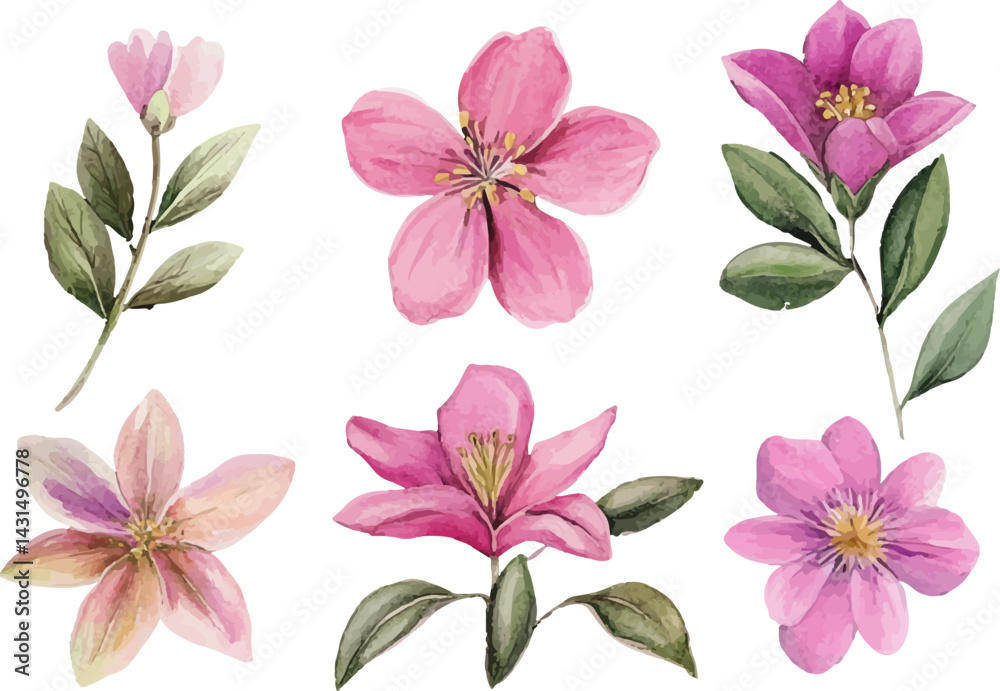 Fototapeta premium pink flowers isolated on white