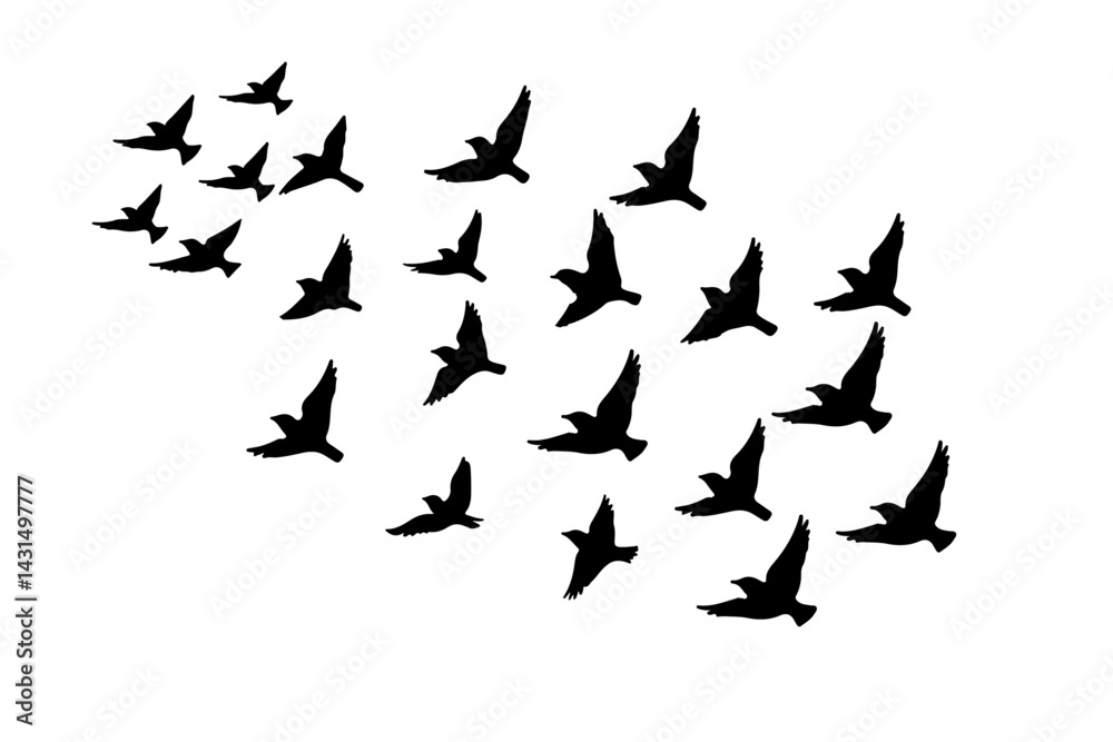 silhouette of birds vectors/Sparrow Silhouette silhouette of birds vectors/Sparrow Silhouette