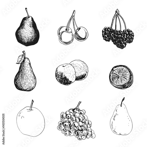 Hand-drawn vector illustration of assorted fruits like pears, cherries, apples, and grapes. Perfect for food projects, invitations, or ads highlighting nature's bounty and freshness.