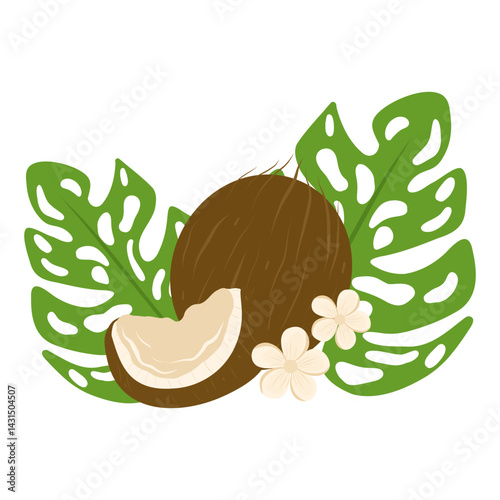 Coconut with coconut flowers and leaves illustration. Hand drawn coconut vector 