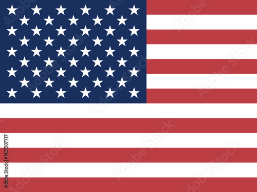 United States National Flag Vector