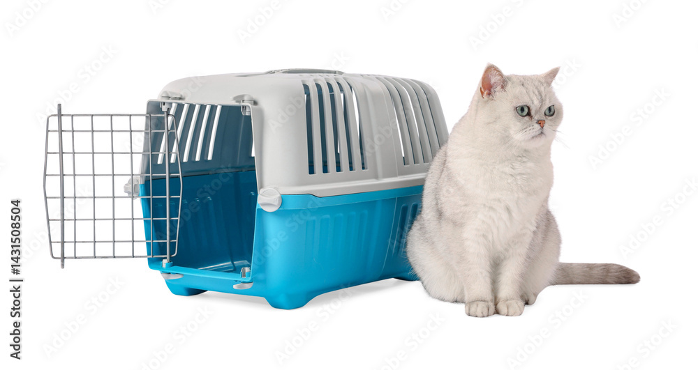 Cute cat and pet carrier isolated on white