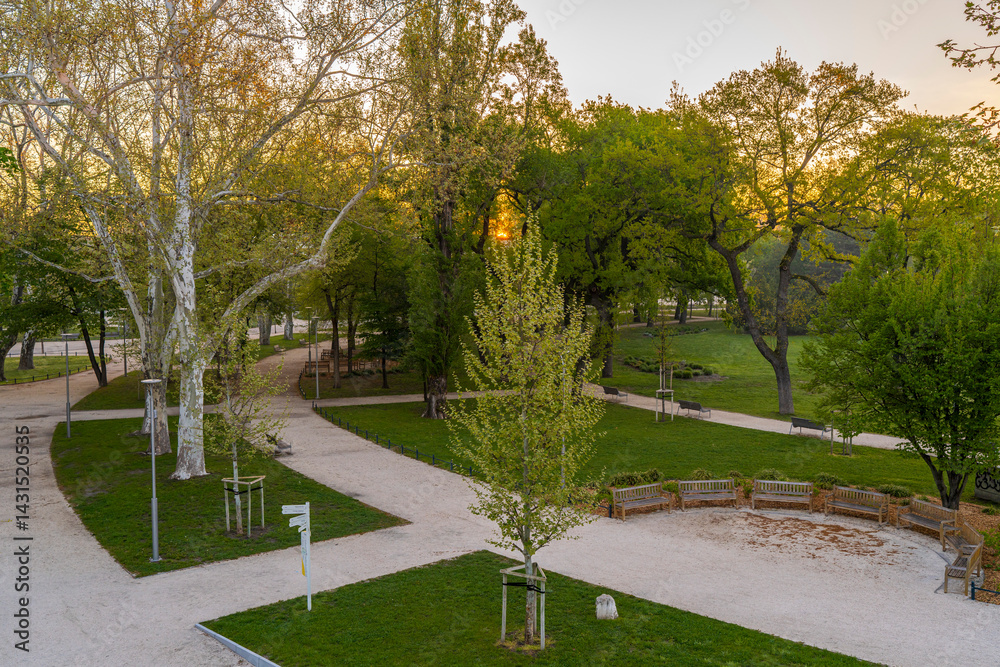 Spring moments in City park of Budapest. Hungarian name is Varosliget. Amazing sunny day with bright lights. The branches of trees are green because many leaves are growing on it.