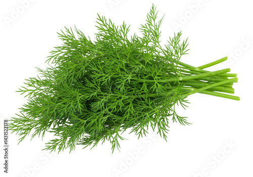 An overflowing vibrant bouquet of dill on a black backdrop