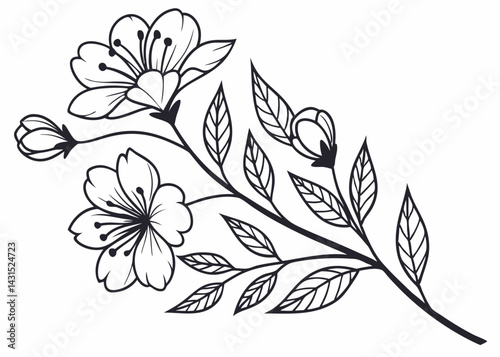 Elegant Line Art Cherry Blossom Branch Delicate Floral Illustration
