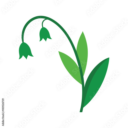 Lily drooping bells vector illustration