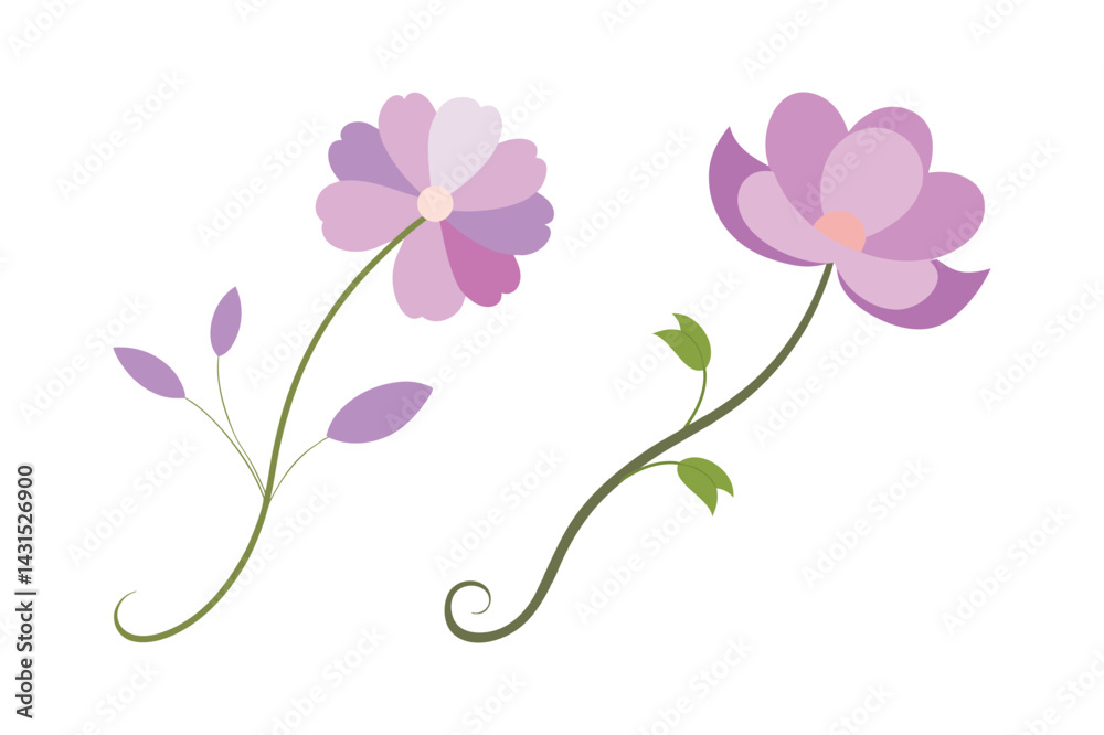 Set of cosmos flower vector art illustration Set of cosmos flower vector art illustration