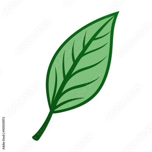 The Wonders of Nature A Close Look at a Leaf