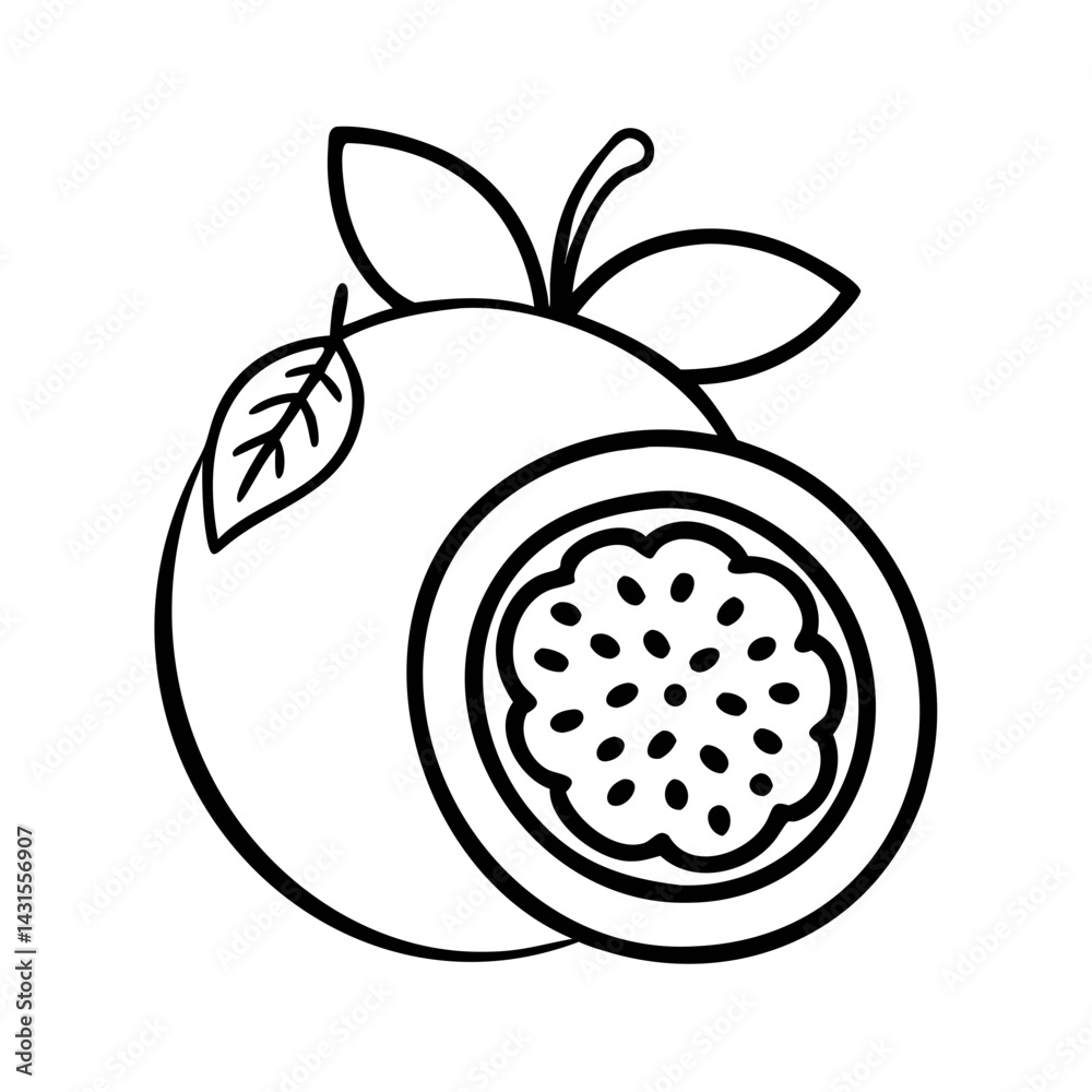 vector illustration vector illustration