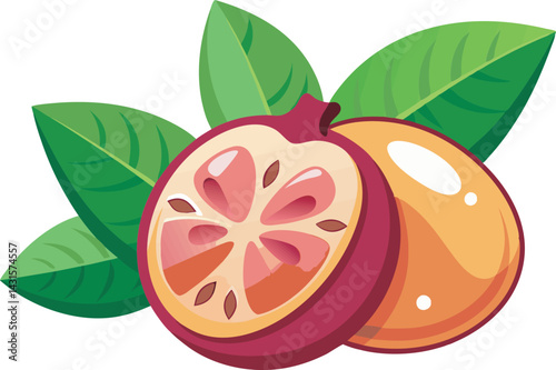 A vibrant vector art illustration showcasing the delicious miracle fruit marula, featuring rich colors, juicy textures, and a tropical aesthetic