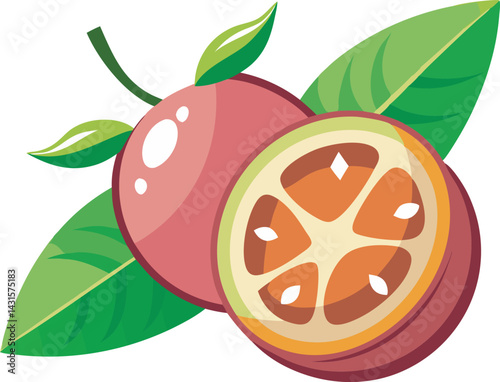 A vibrant vector art illustration showcasing the delicious miracle fruit marula, featuring rich colors, juicy textures, and a tropical aesthetic