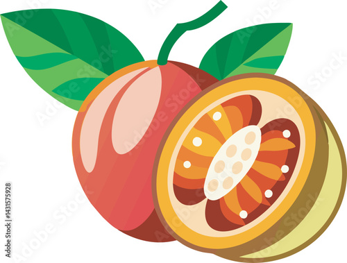 A vibrant vector art illustration showcasing the delicious miracle fruit marula, featuring rich colors, juicy textures, and a tropical aesthetic