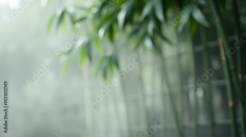 Bamboo Forest Background with Green Leaves in Soft Focus