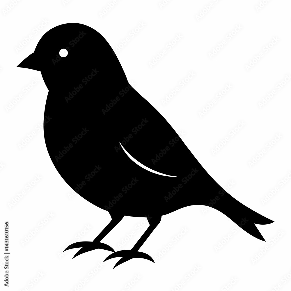 Fototapeta premium Sleek Black Silhouette of a Canary