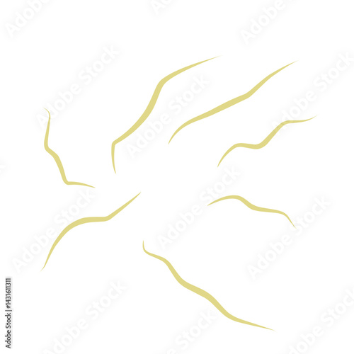 Illustration Ascaris