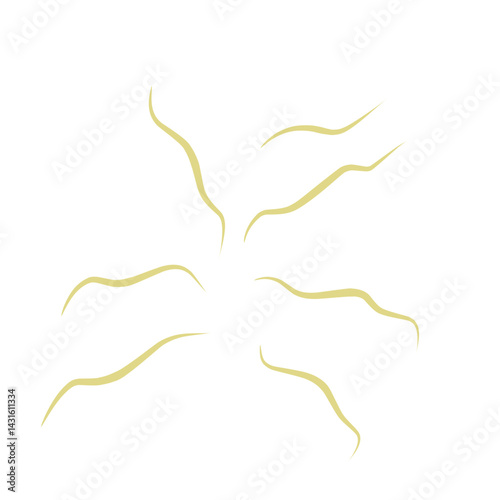 Illustration Ascaris
