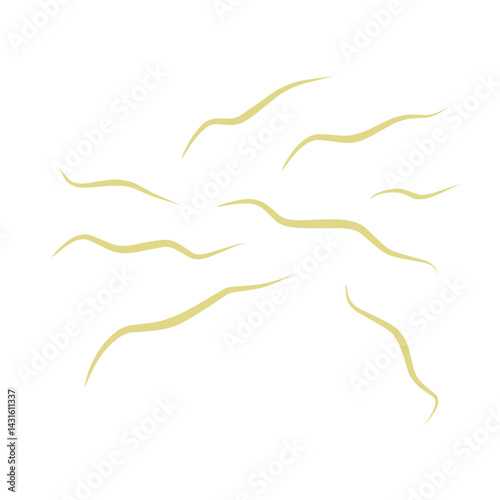 Illustration Ascaris