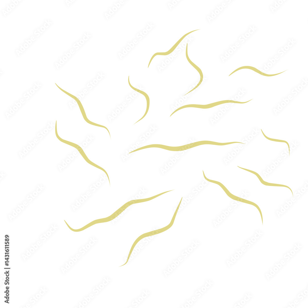 Fototapeta premium Illustration Ascaris