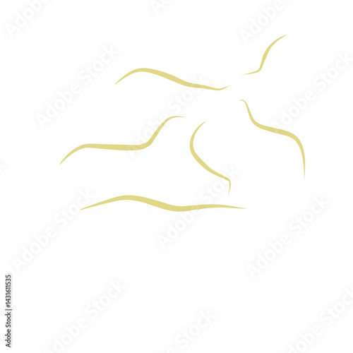 Illustration Ascaris
