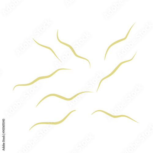 Illustration Ascaris
