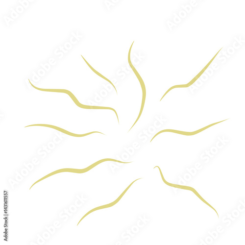Illustration Ascaris