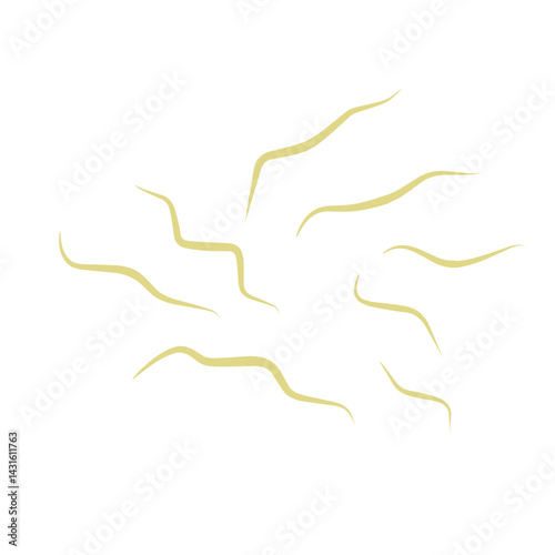 Illustration Ascaris