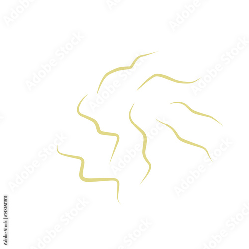 Illustration Ascaris