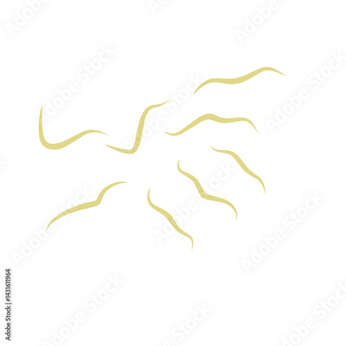 Illustration Ascaris