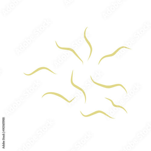 Illustration Ascaris