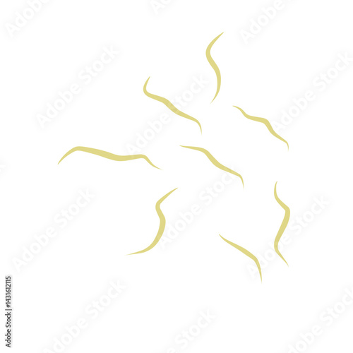 Illustration Ascaris