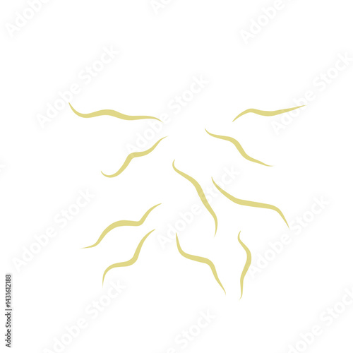 Illustration Ascaris