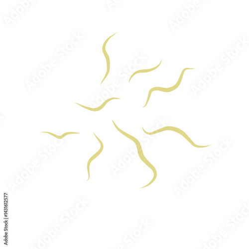 Illustration Ascaris