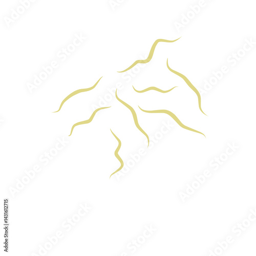 Illustration Ascaris
