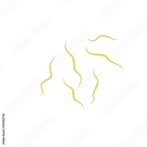 Illustration Ascaris