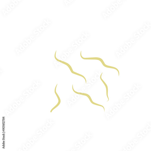 Illustration Ascaris