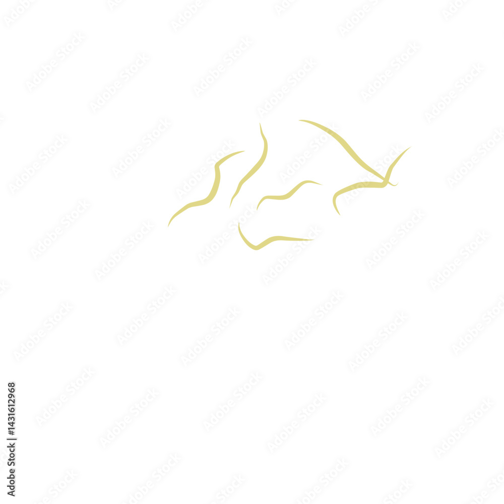 Obraz premium Illustration Ascaris