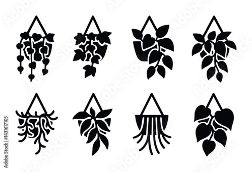 Botanical hanging plants silhouette icons collection – solid style for nature, decor, and gardening enthusiasts: ivy, heartleaf, pothos, foliage, vines, succulents, creepers.