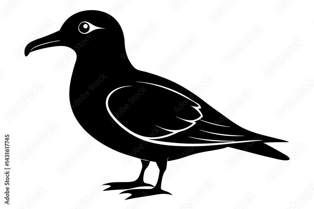Fototapeta premium skua sihouette black vector