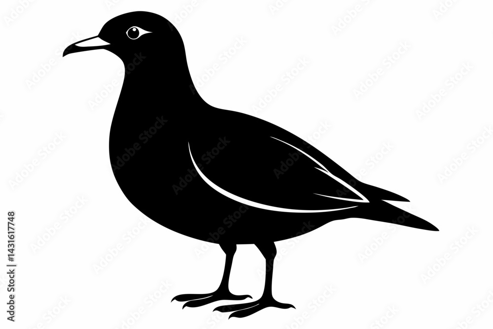 Fototapeta premium skua sihouette black vector