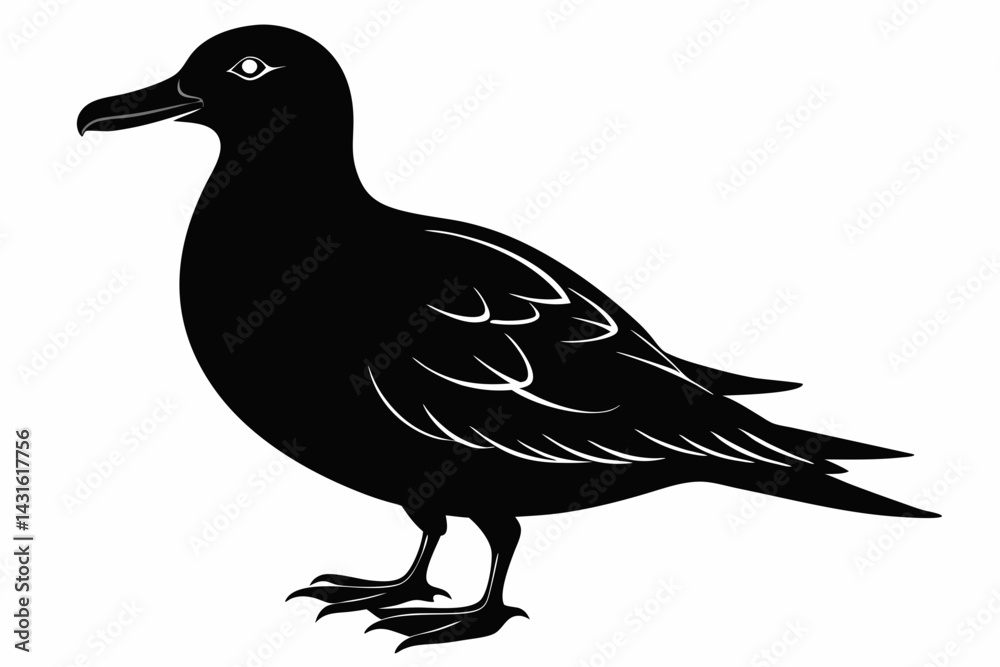 Obraz premium skua sihouette black vector