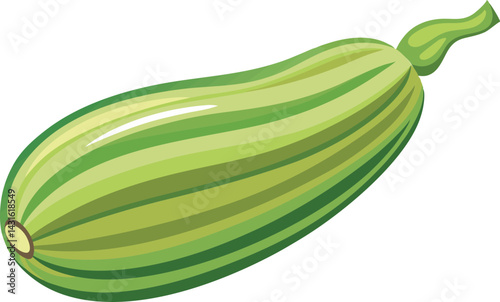 A vibrant vector art illustration of a delicious fruit zucchini, showcasing fresh colors, smooth texture, and appetizing, realistic detail.